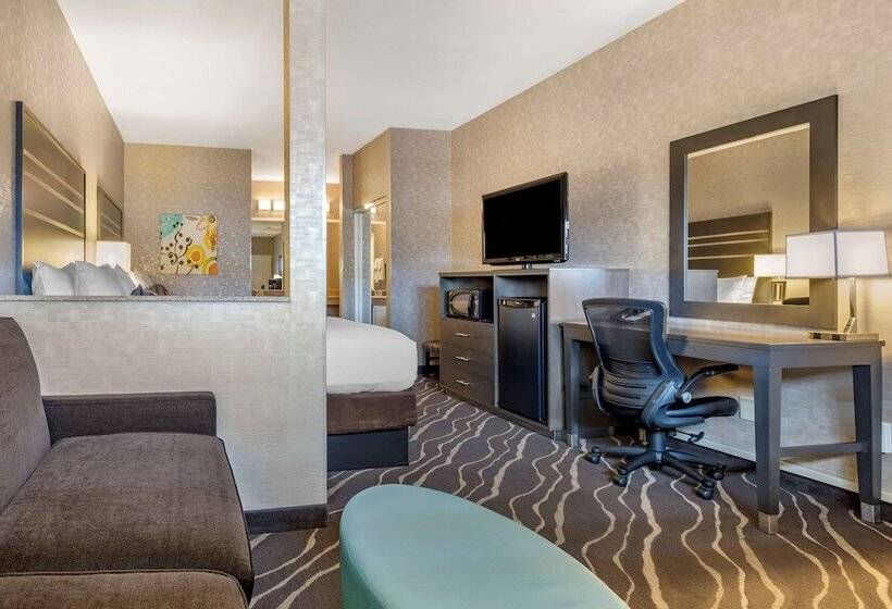 Chambre Standard, Best Western Plus Park Place Inn Mini Suites