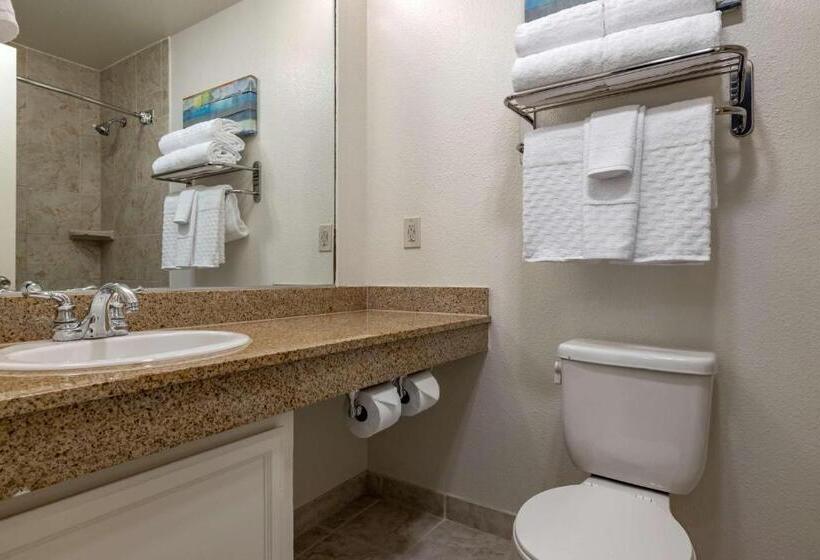 Chambre Standard Lit King Size Adaptée aux Personnes à Mobilité Réduite, Best Western Plus Park Place Inn Mini Suites