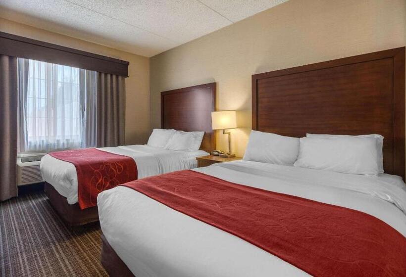 Люкс, Comfort Suites