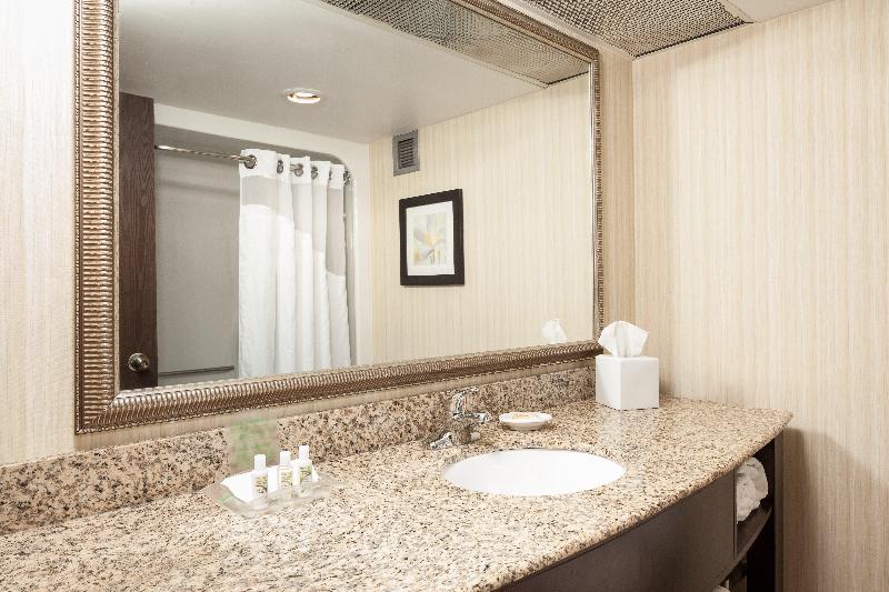 اتاق استاندارد با تخت بزرگ, Holiday Inn Dubuque/galena, An Ihg