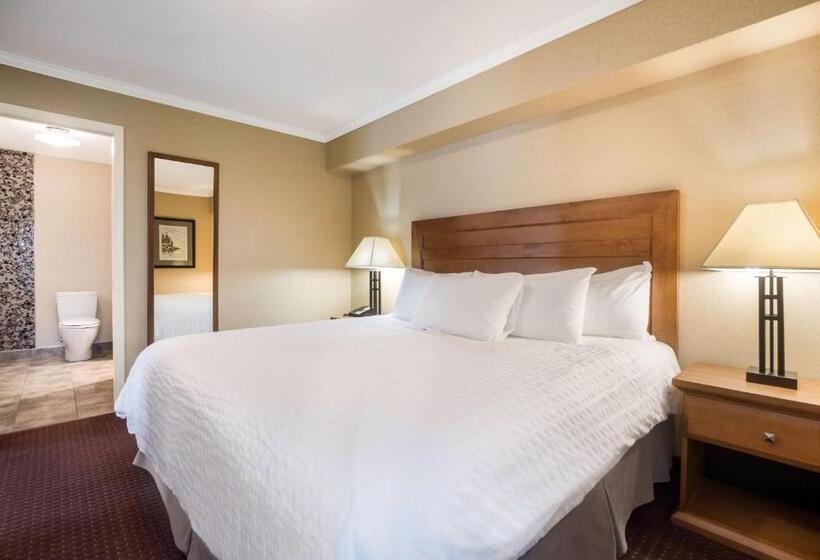Люкс Кровать Кинг, Best Western Plus Norwester Hotel & Conference Centre