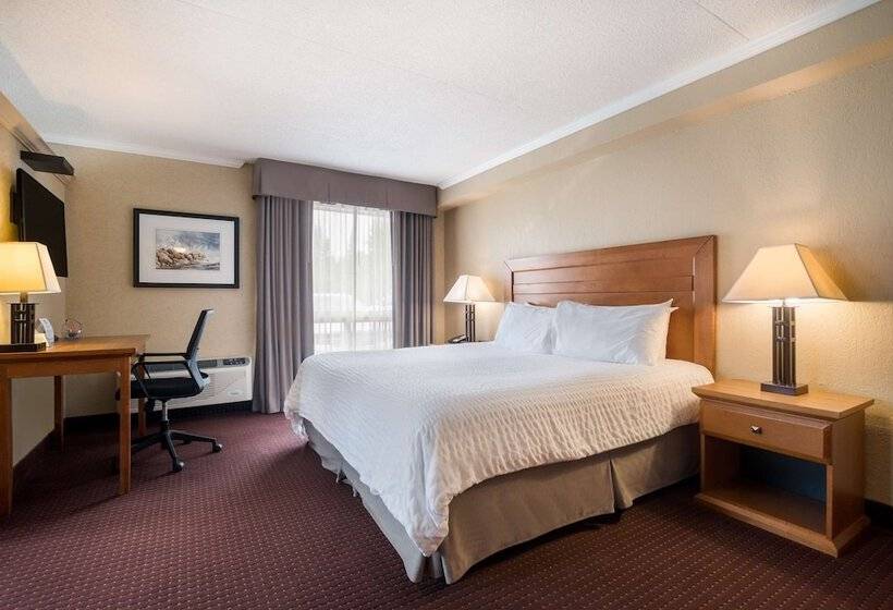 Люкс, Best Western Plus Norwester Hotel & Conference Centre