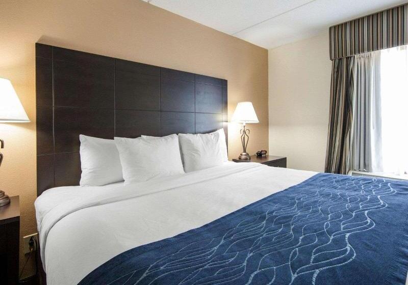 带大床的标准间, Comfort Inn Oak Ridge  Knoxville