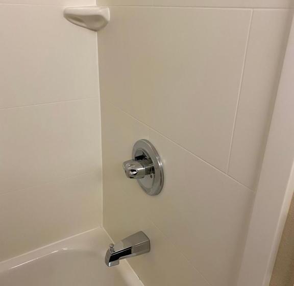 带大床的标准间, Comfort Inn Oak Ridge  Knoxville