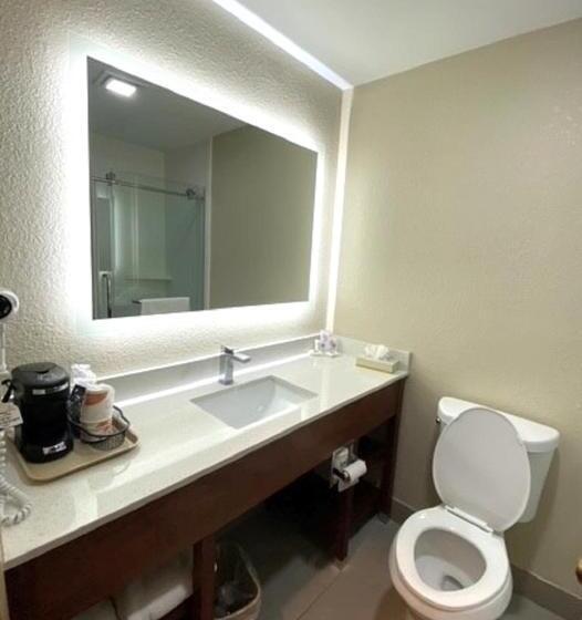 스탠다드 룸 킹사이즈 침대, Surestay Plus By Best Western Reading North