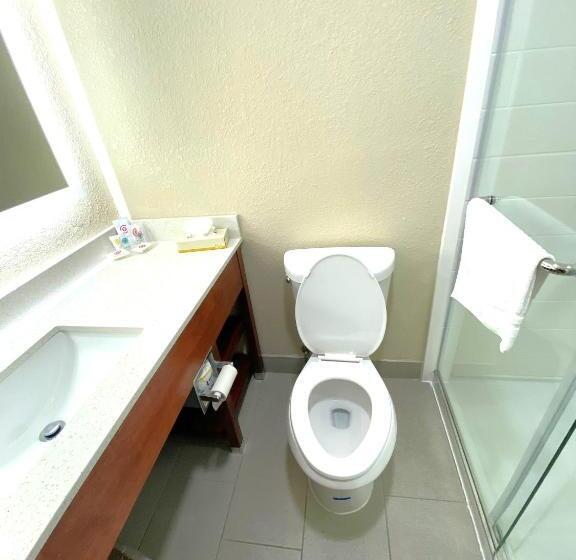 스위트 킹사이즈 침대, Surestay Plus By Best Western Reading North
