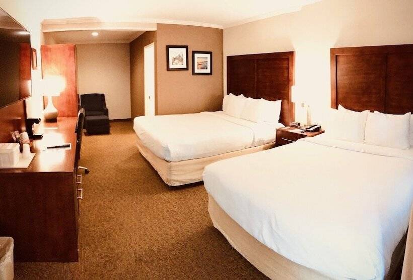 Номер Стандарт, Comfort Inn Santa Monica  West Los Angeles
