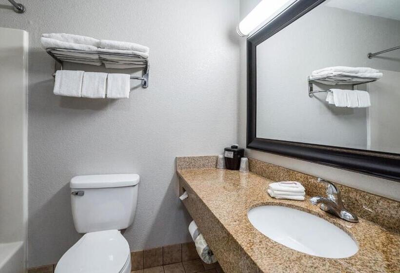 キングサイズベッドのスーペリアルーム, Red Roof Inn Spartanburg   I 26