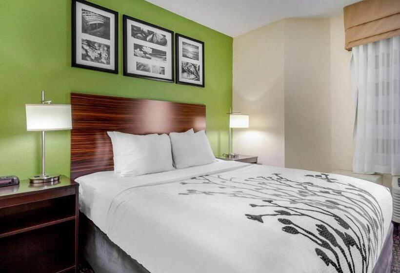 Номер Стандарт, Sleep Inn & Suites Omaha Airport
