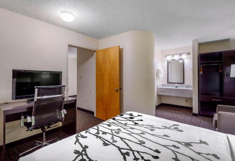 Люкс, Sleep Inn & Suites Omaha Airport