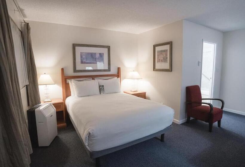 スタンダードルーム, Robin Hood Inn And Suites