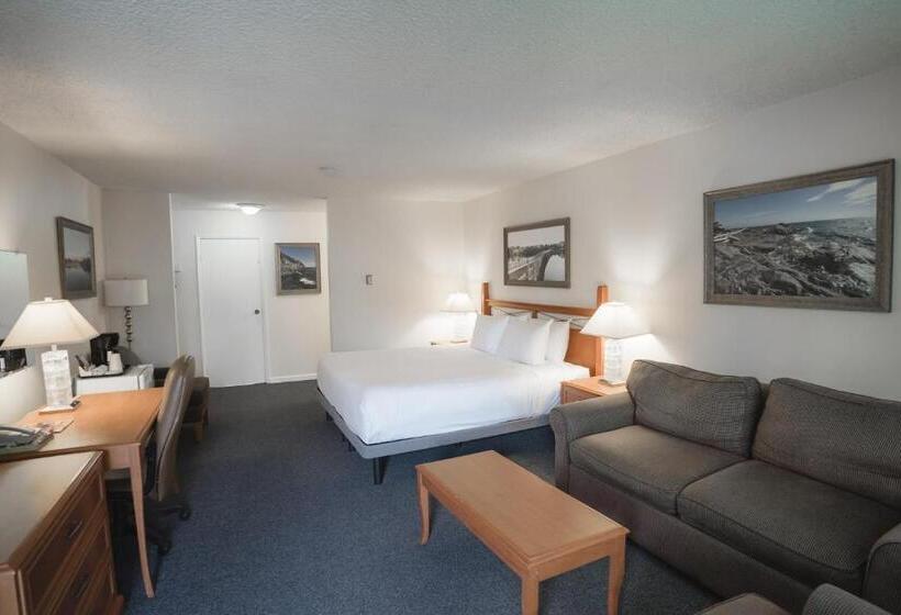 キングサイドベッドのスタンダードワンルーム, Robin Hood Inn And Suites