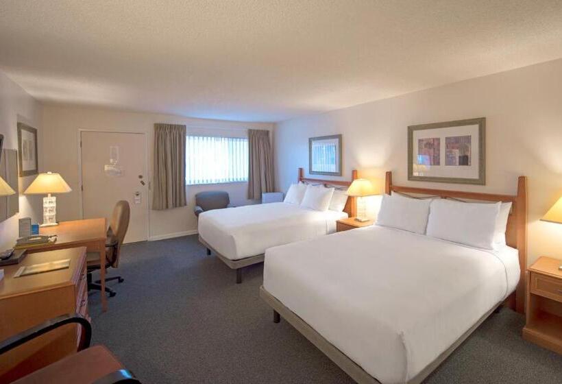 スーペリアールーム, Robin Hood Inn And Suites