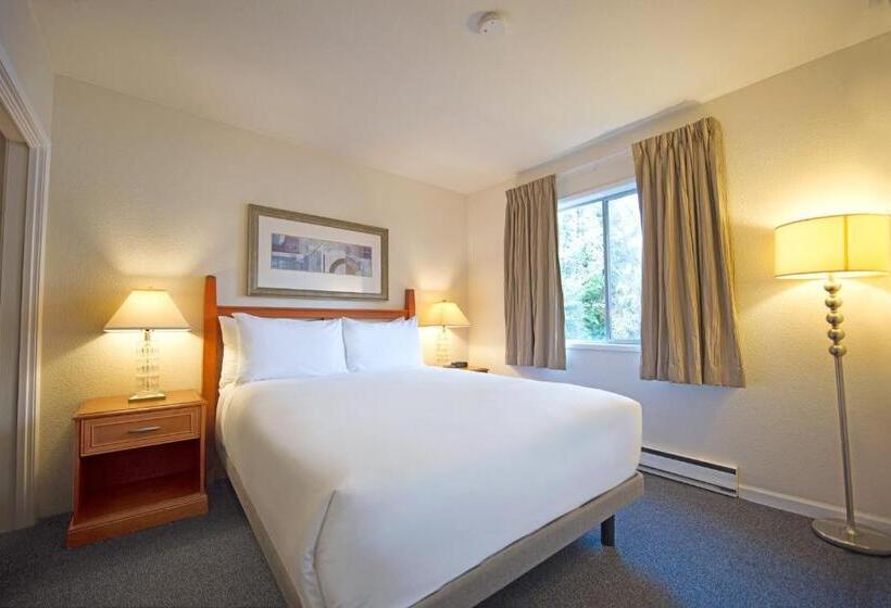スイート（家族用）, Robin Hood Inn And Suites