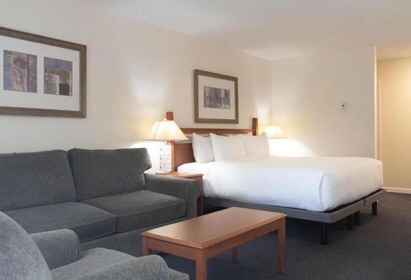 キングサイドベッドのスタンダードワンルーム, Robin Hood Inn And Suites