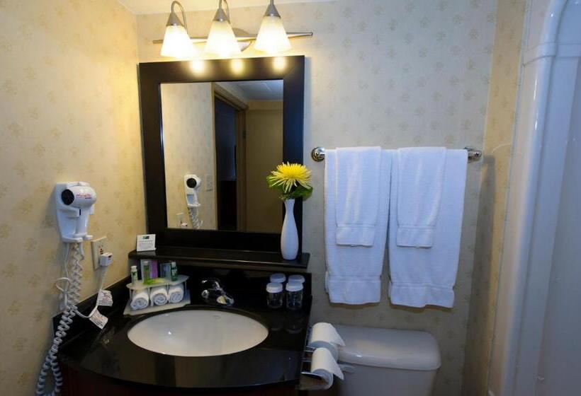 キングサイズベッドのスタンダードルーム, Sandman Hotel & Suites London Downtown