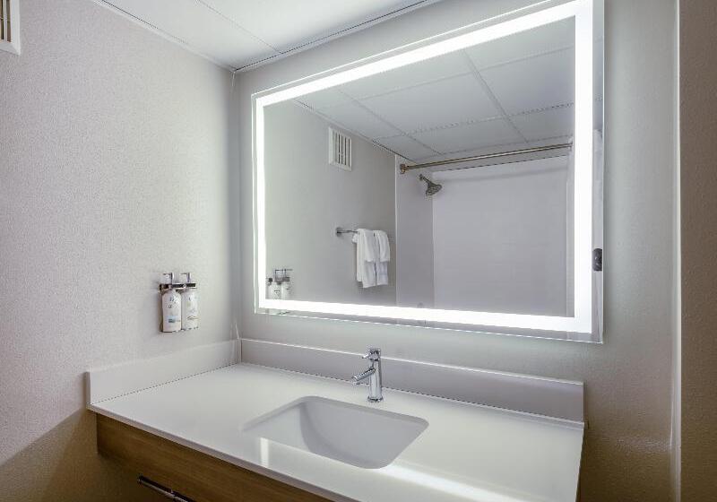 Номер Стандарт, Holiday Inn Express & Suites Greensboro   I 40 Atwendover, An Ihg