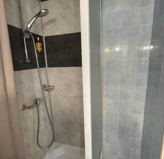 اتاق راحتی یک تخته, Hôtel & Restaurant Le Patio Vichy