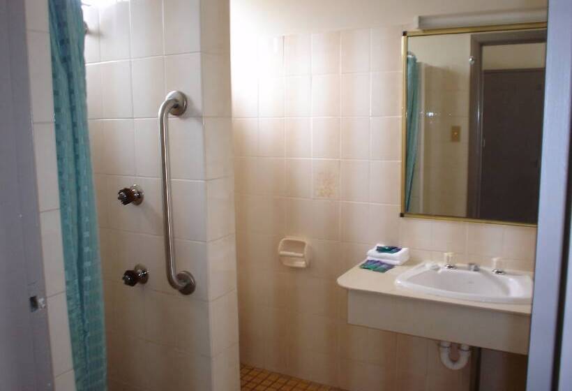 스탠다드 룸, Argosy Motor Inn