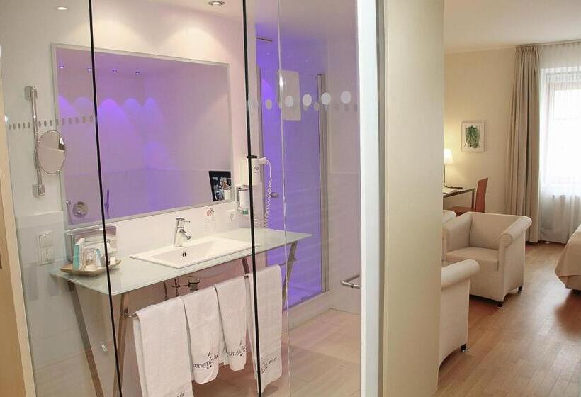Студия Superior, Boutique Hotel Hauser