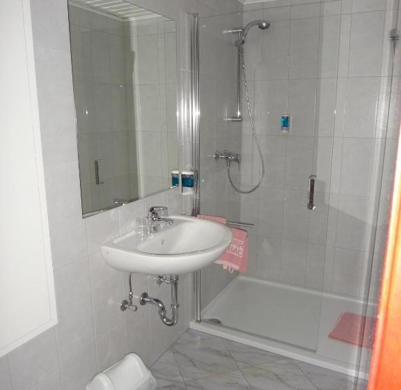 スタンダードルーム, Donau Rad Hotel Wachauerhof