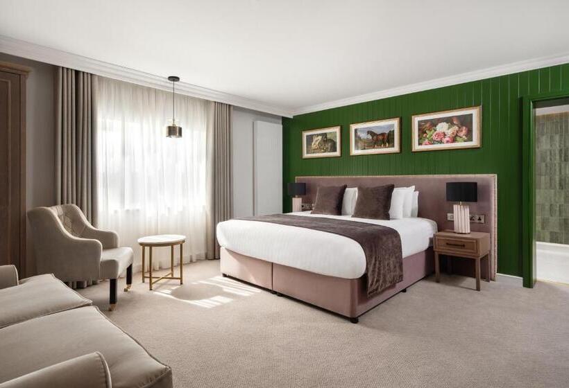 غرفة سوبيريور سرير كينج, Ivanhoe Inn And