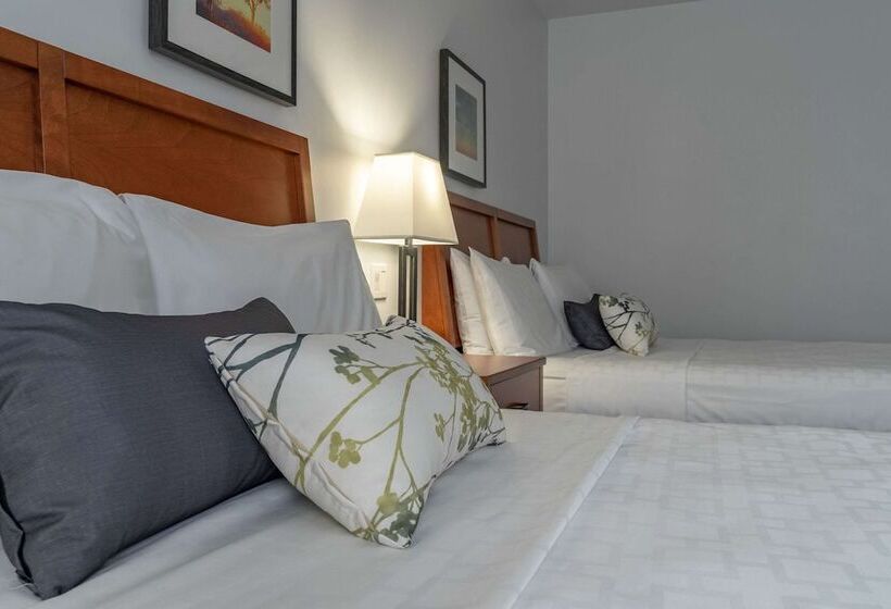 Номер Стандарт 2 Двуспальные Кровати, Le Victorin, An Ascend Hotel Collection Member