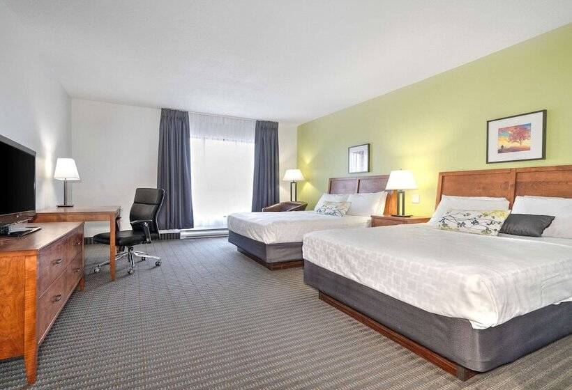 Номер Стандарт 2 Двуспальные Кровати, Le Victorin, An Ascend Hotel Collection Member