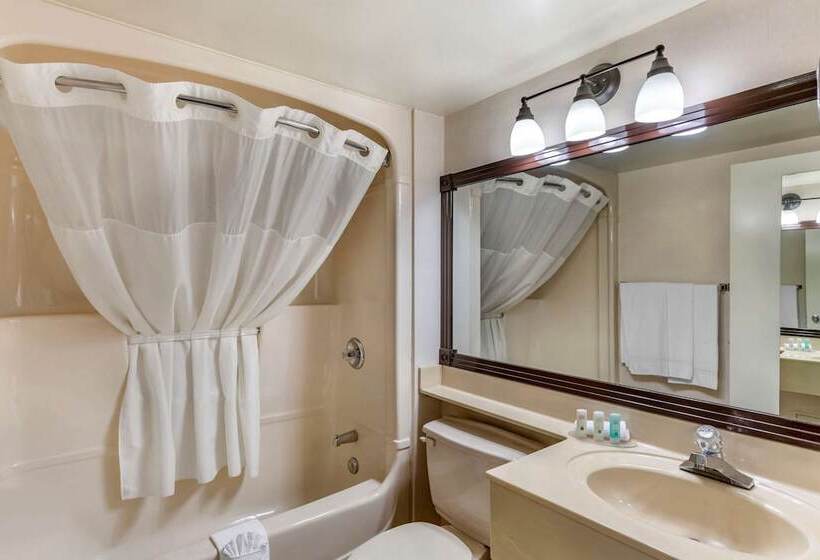 ビジネスルーム, Quality Inn And Suites Montreal East