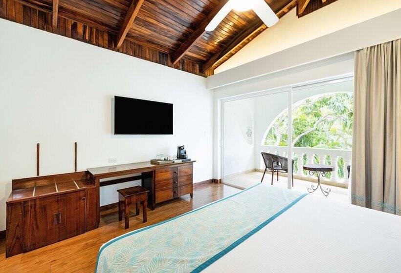 스탠다드 룸 킹사이즈 침대, Tamarindo Diria Beach Resort