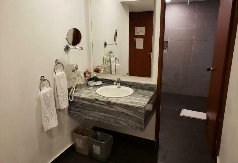 Номер Executive, Torre De Cali Plaza