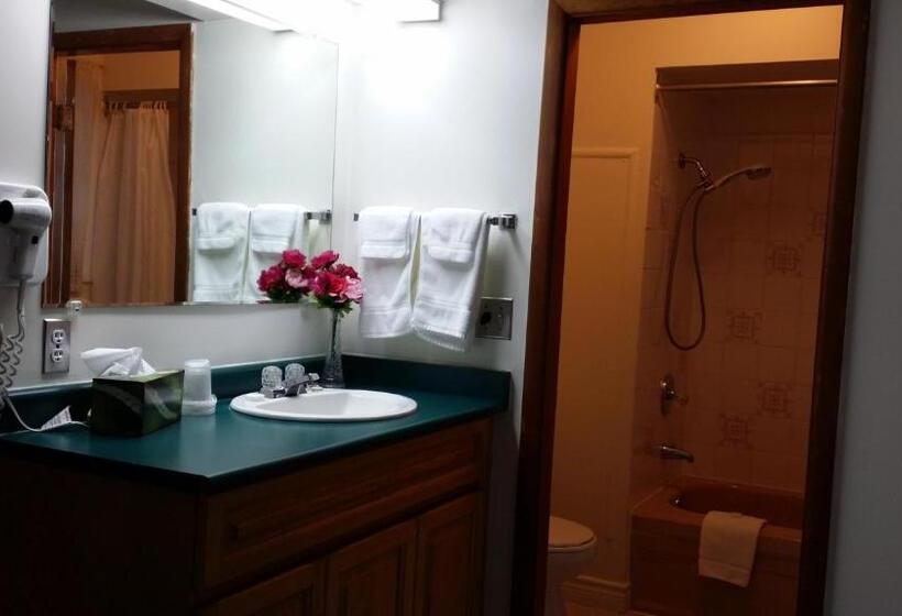 Номер Стандарт, Skagit Motel