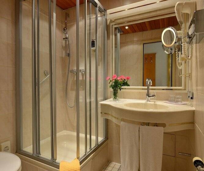 اتاق سوپریور, City Partner Hotel Holländer Hof