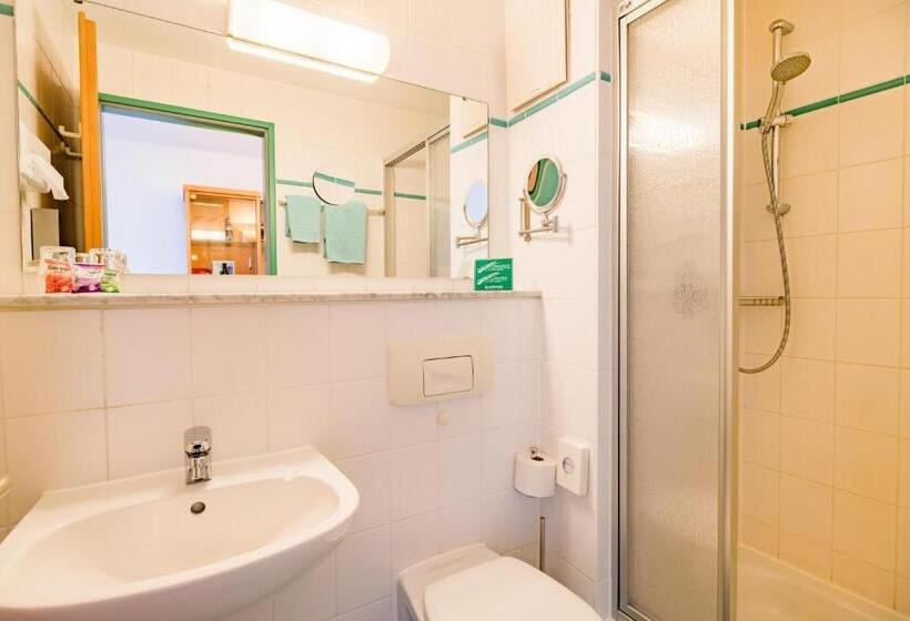 Номер Стандарт Индивидуальный, Plaza Hotel Blankenburg Ditzingen, Sure Hotel Collection