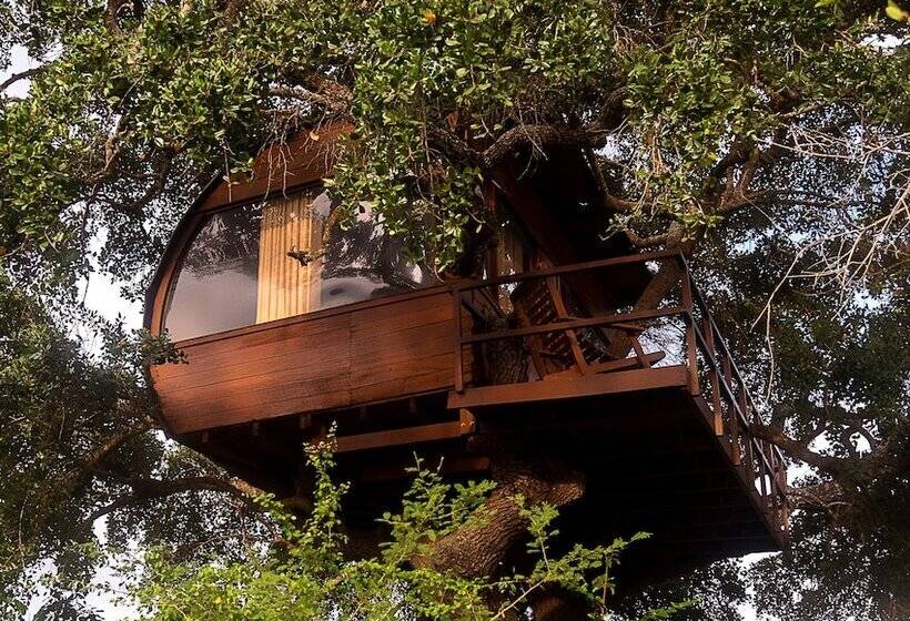 Дом 1 Спальня, Leopard Nest   Glamping In Yala
