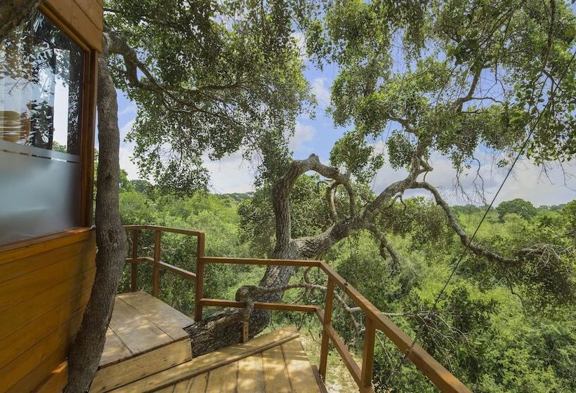 Дом 1 Спальня, Leopard Nest   Glamping In Yala