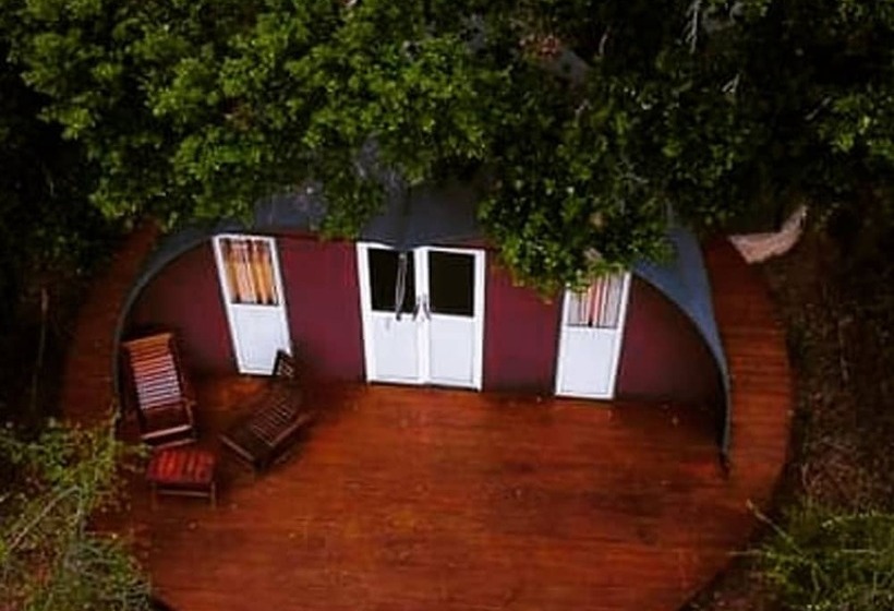 Deluxe Tent, Leopard Nest   Glamping In Yala