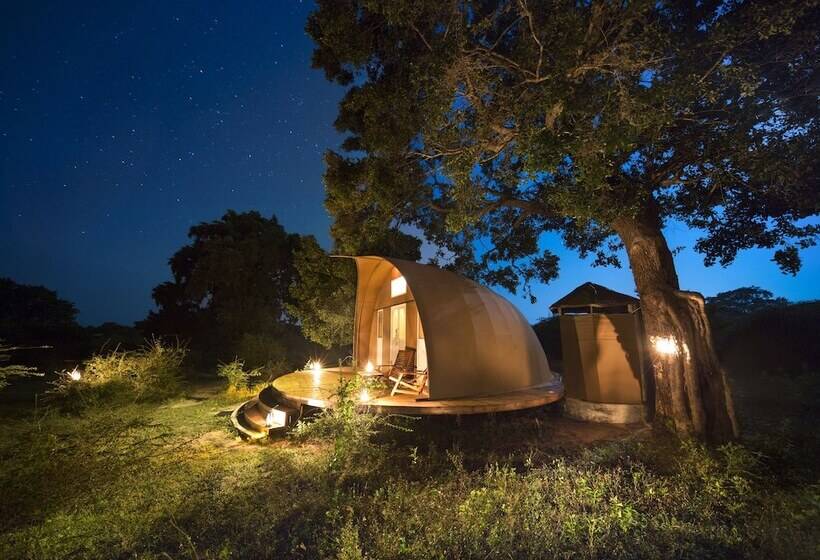 Deluxe Tent, Leopard Nest   Glamping In Yala