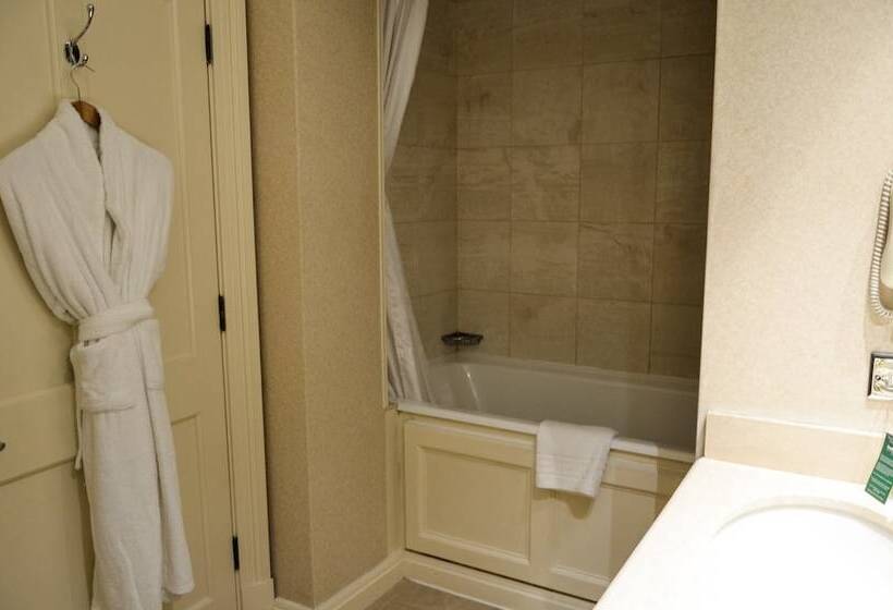 Номер Deluxe Одноместный, Melbourne Lodge