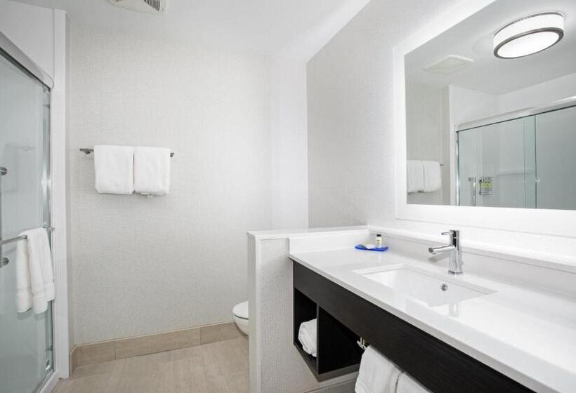 带大床的套房, Holiday Inn Express & Suites   Ely, An Ihg
