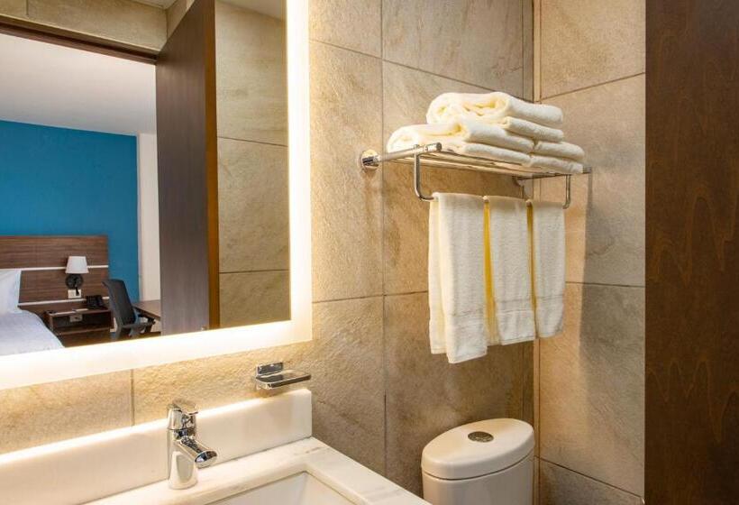اتاق استاندارد با تخت بزرگ برای معلولان, Holiday Inn Express Merida Centro, An Ihg