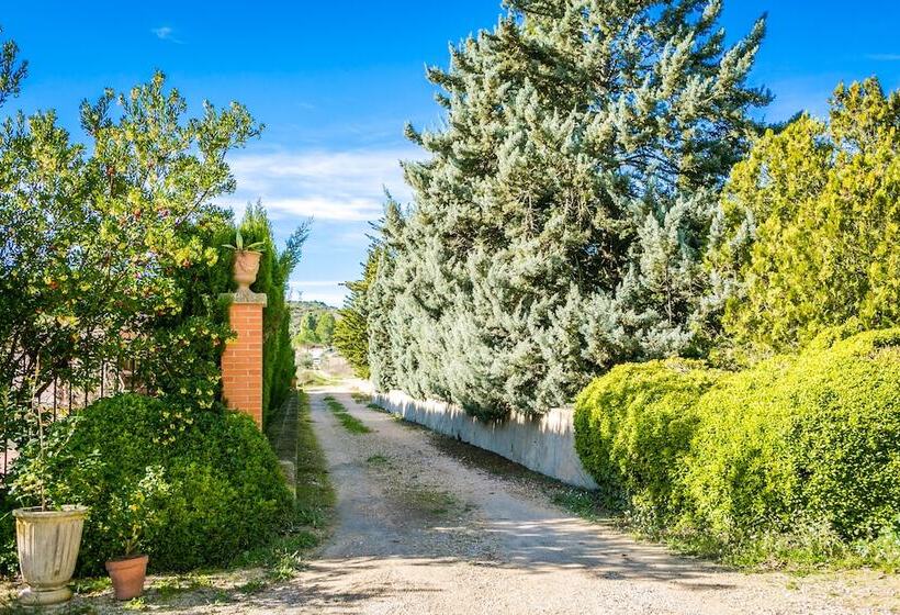 Люкс Сеньор, Finca Micalas