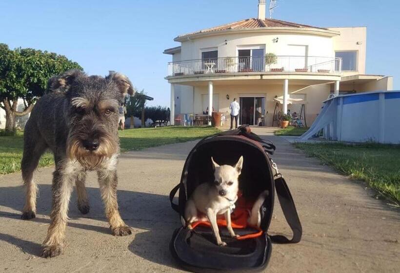 Дом 1 Спальня, Casa Miguel & Sally