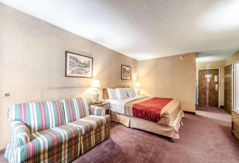 스탠다드 룸 킹사이즈 침대, Econo Lodge