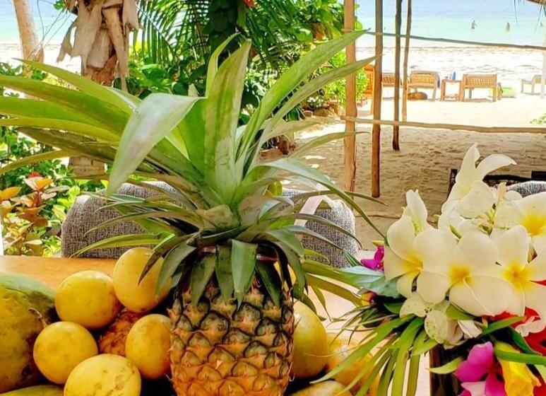 اتاق سوپریور با چشم‌انداز دریا, Sipano Beach Lodge Kiwengwa