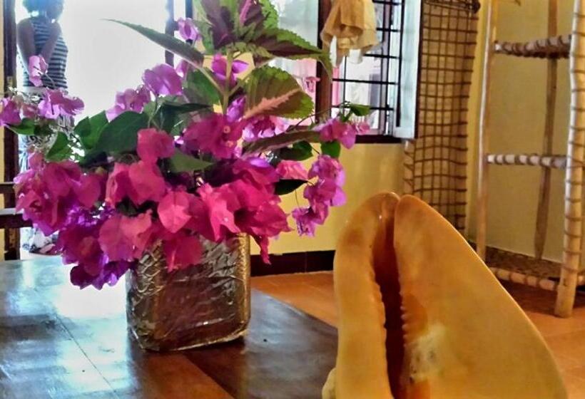 اتاق استاندارد, Sipano Beach Lodge Kiwengwa