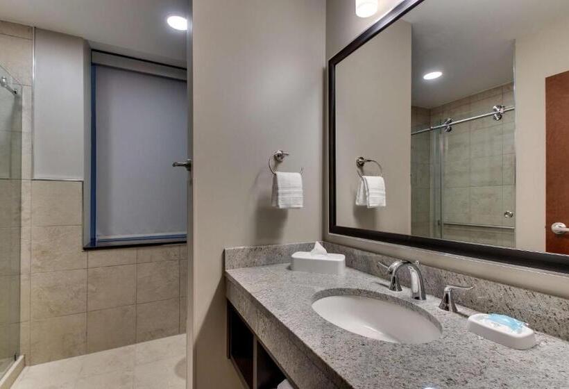 套房, Drury Plaza Hotel Milwaukee Downtown