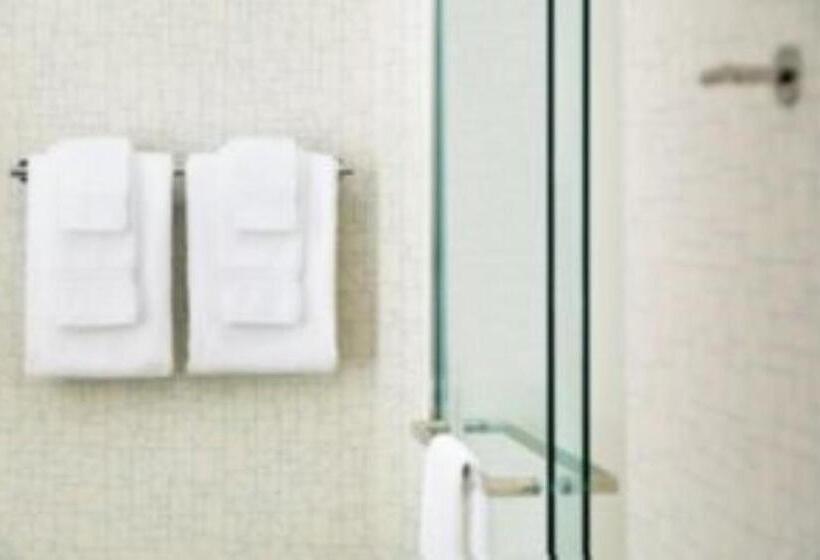 اتاق استاندارد, Holiday Inn Express & Suites   Savannah N   Port Wentworth, An Ihg