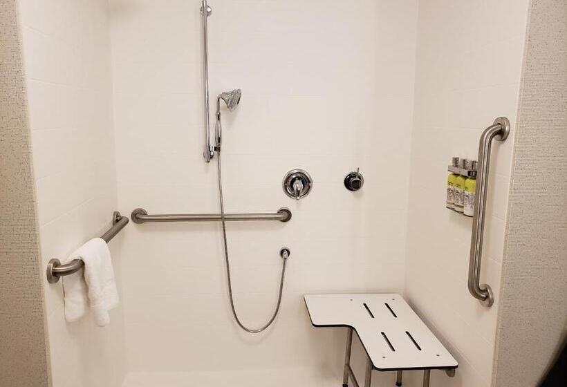 اتاق استاندارد با تخت بزرگ برای معلولان, Holiday Inn Express & Suites   Savannah N   Port Wentworth, An Ihg