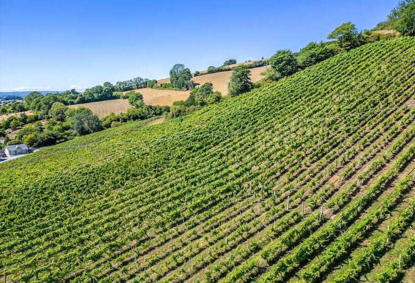 خانه 1 خوابه, Old Walls Vineyard